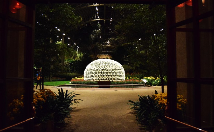 The Thousand Bloom&nbsp;Mum