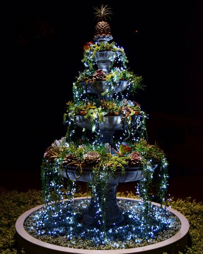 12274503_10153317810668546_7071269647573273442_n