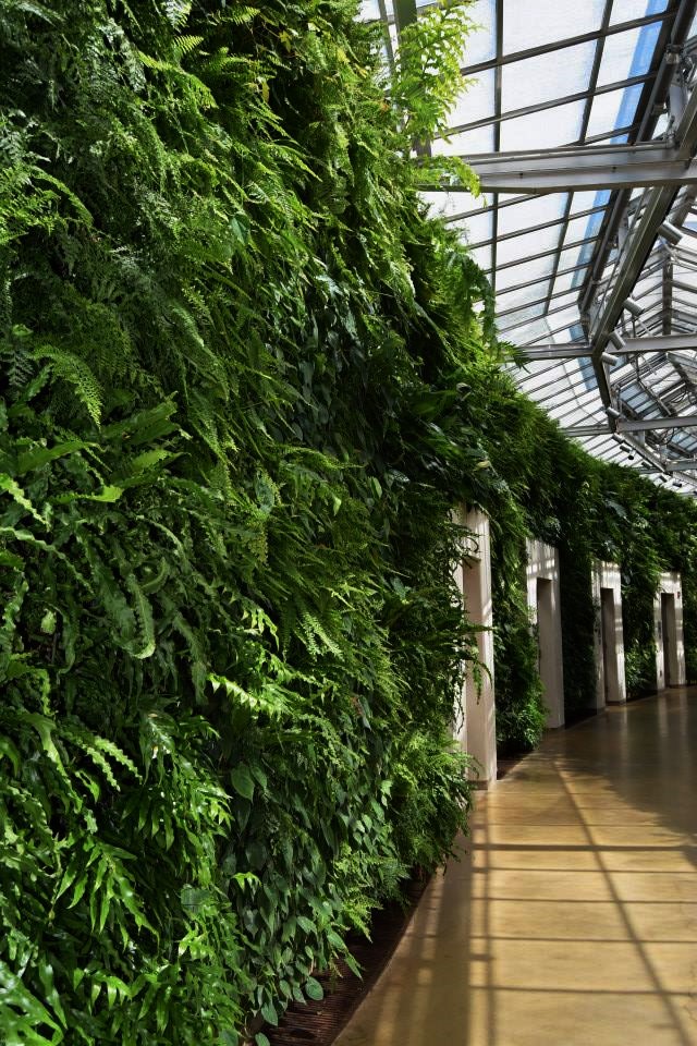 11892001_10153162893503546_975871356988016877_n (2)