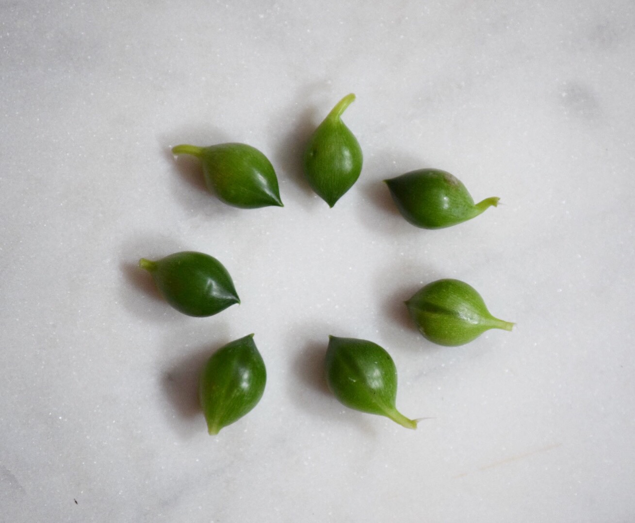 79A3C974-A11B-4E61-99EC-41CE03395323 (5)