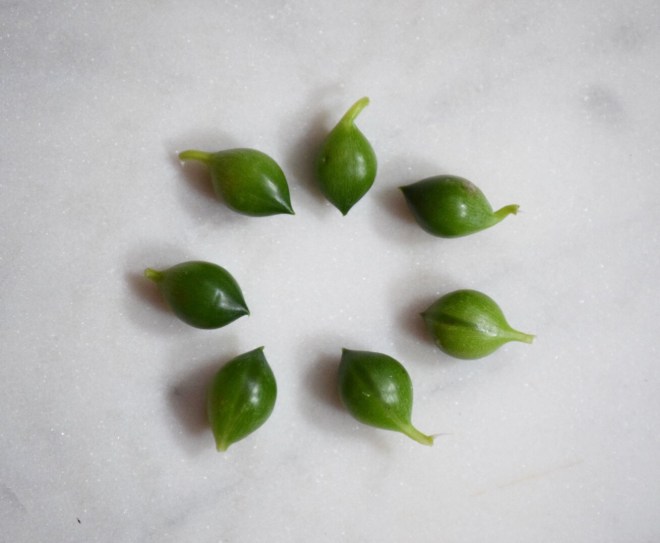 79A3C974-A11B-4E61-99EC-41CE03395323 (5)