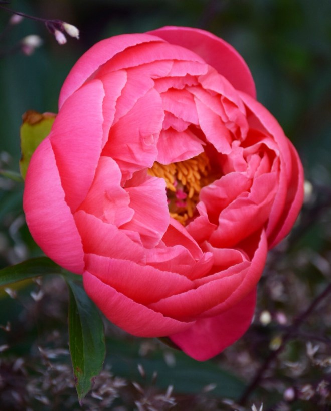 452228BA-06F0-4FBE-96D0-D7C709FD75CD