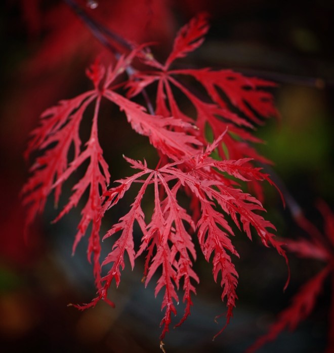 9CE82012-8C3B-4FF1-91A9-60649EBBC445