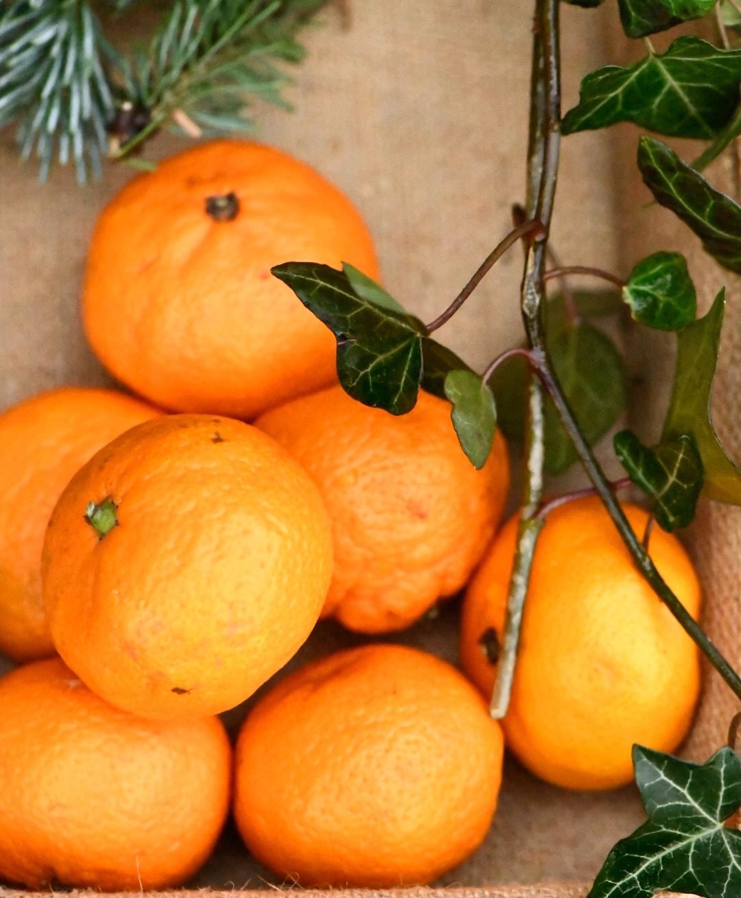 F9BE8925-266A-4266-AE27-6B590C995C6B (1)