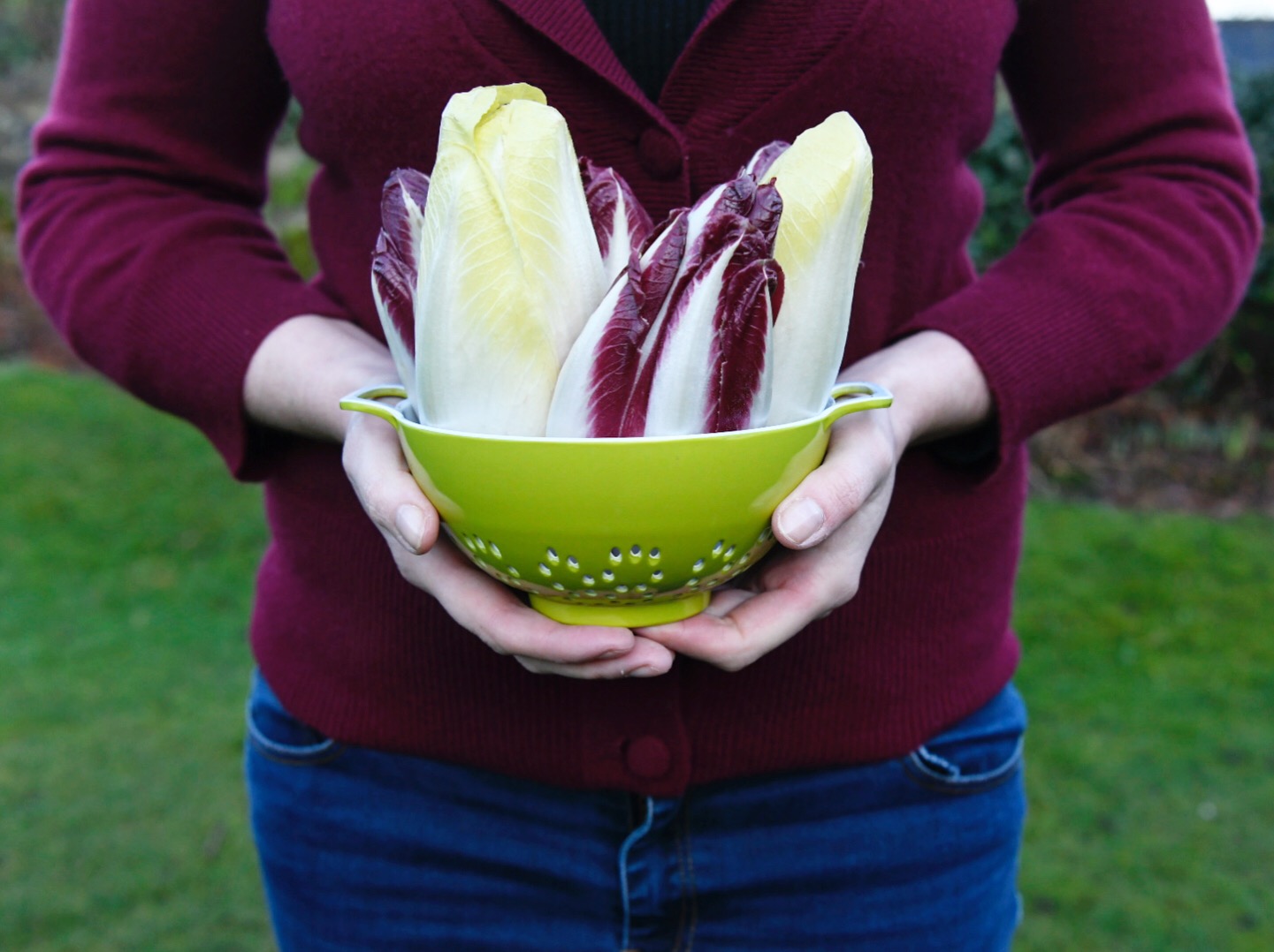 3FFEBC88-7FB4-493F-83F5-74BCB8C96880