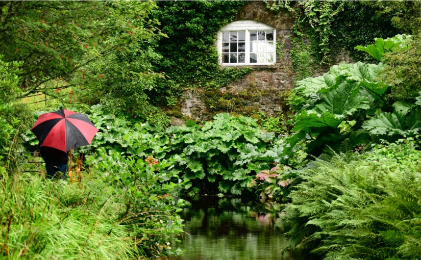 Get back to your&nbsp;Roots